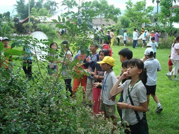 兒童蝴蝶生態體驗營