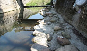 環保於過年期間也放假了嗎？紀錄關西粗坑溪河川污染事件_img_13