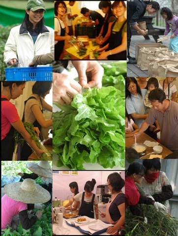 台灣小農的生存之道(3)賣菜人的城鄉再造計劃