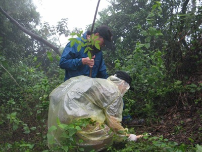 遠從台北來的志工鍾錦培種下鹽膚木