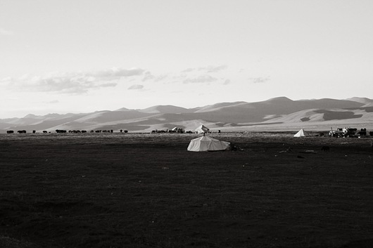 19 中國政府打算收回游牧區土地，將游牧藏民全部遷往結古鎮的集合住宅區住。一生只懂放牧的牧民，若被遷往城鎮居住，日後將如何維持生計，恐怕會是一樁大問題